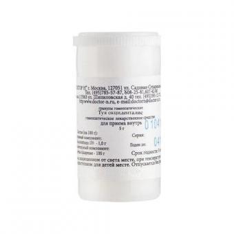 ТУЯ ОКЦИДЕНТАЛИС С1000 гранулы гомеопатич. 5 гр