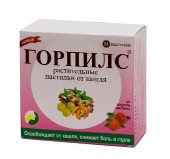 ГОРПИЛС БАД пастилки малина №24
