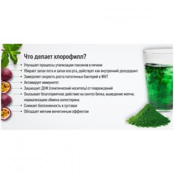 ХЛОРОФИЛЛ ЖИДКИЙ р-р внутр. мята фл. 500 мл