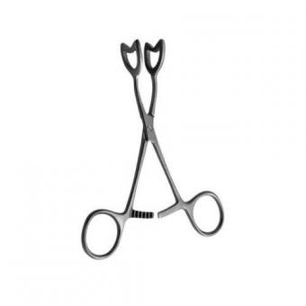 ЯЗЫКОДЕРЖАТЕЛЬ для взрослых