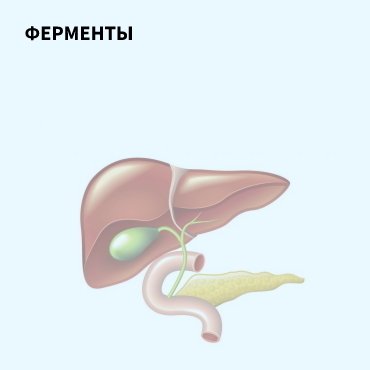 Ферменты