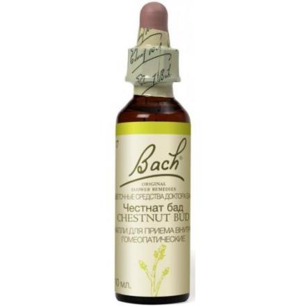 ЧЕСТНАТ БАД гомеопат. капли внутр. фл. 10 мл