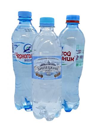 ВОДА МИНЕРАЛЬНАЯ НЕГАЗИРОВАННАЯ пэт 0,5 л