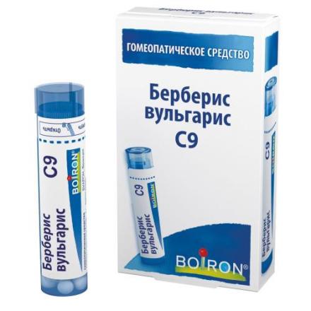 БЕРБЕРИС ВУЛЬГАРИС С9 гранулы гомеопатич. 4 гр