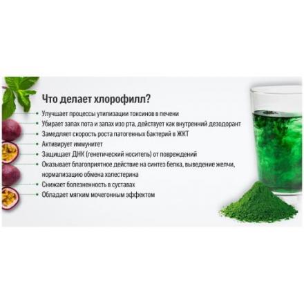 ХЛОРОФИЛЛ ЖИДКИЙ р-р внутр. мята фл. 500 мл