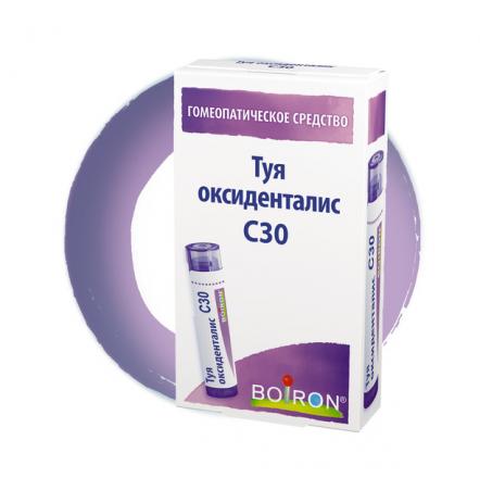 ТУЯ ОКЦИДЕНТАЛИС С30 гранулы гомеопатич. 4 гр