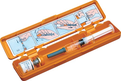 ГЛЮКАГЕН ГИПОКИТ лиоф. для инъек 1 мг фл. №1 с растворит.