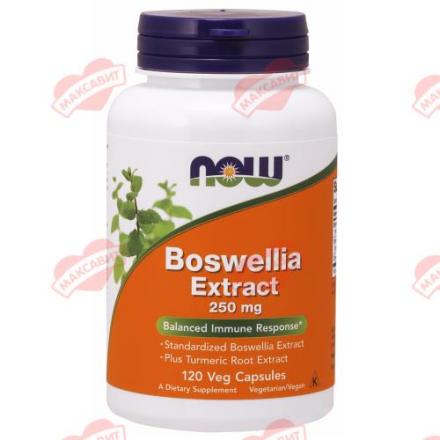NOW ЭКСТРАКТ БОСВЕЛИИ капс. №120
