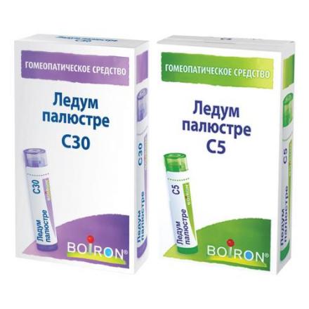 ЛЕДУМ ПАЛЮСТРЕ С5 гранулы гомеопатич. 4 гр
