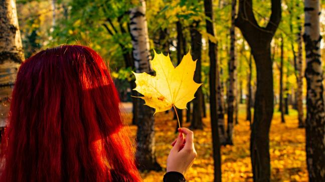 Уход за волосами осенью