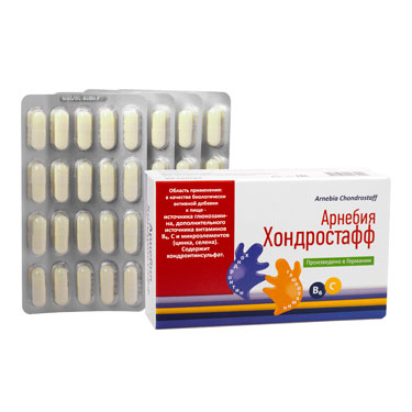 АРНЕБИЯ ХОНДРОСТАФФ капс. №80