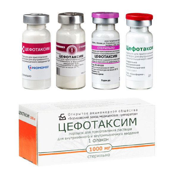ЦЕФОТАКСИМ пор. д/приг. инъекц. 1 г фл. №1