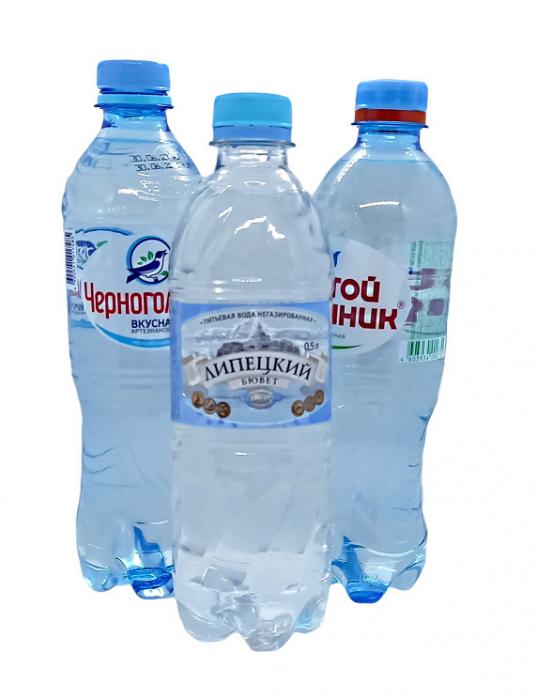 ВОДА МИНЕРАЛЬНАЯ НЕГАЗИРОВАННАЯ пэт 0,5 л