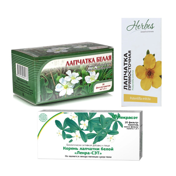 ФИТОЧАЙ ЛАПЧАТКА КОРНЕВИЩА ф/п №20