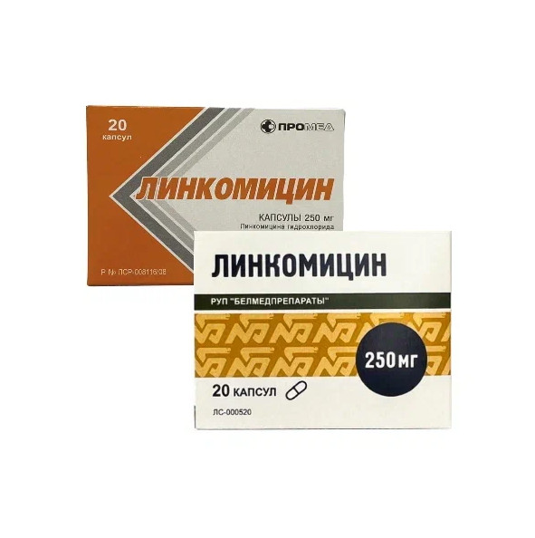 ЛИНКОМИЦИН капс. 250 мг №20