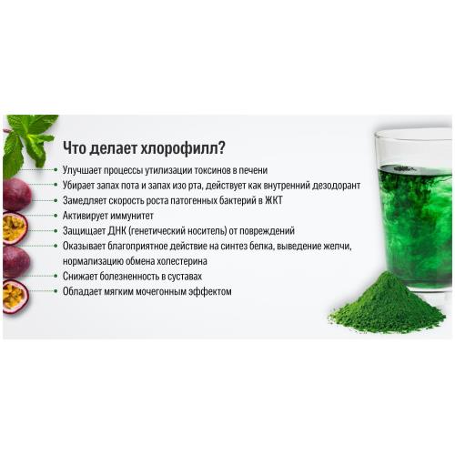ХЛОРОФИЛЛ ЖИДКИЙ р-р внутр. мята фл. 500 мл