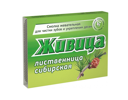 ЖИВИЦА СМОЛКА ЖЕВАТЕЛЬНАЯ лиственница №5