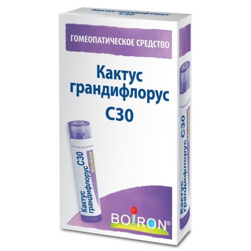 КАКТУС ГРАНДИФЛОРУС С30 гранулы гомеопатич. 4 гр
