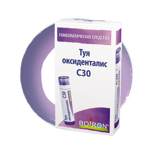 ТУЯ ОКЦИДЕНТАЛИС С30 гранулы гомеопатич. 4 гр