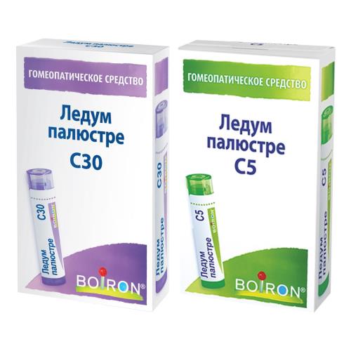 ЛЕДУМ ПАЛЮСТРЕ С5 гранулы гомеопатич. 4 гр