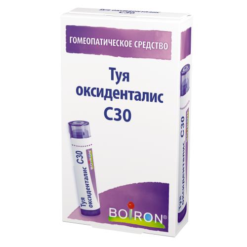 ТУЯ ОКЦИДЕНТАЛИС С30 гранулы гомеопатич. 4 гр