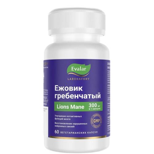 Изображение товара ЕЖОВИК ГРЕБЕНЧАТЫЙ ЭВАЛАР капс. №60 Изображение товара ЕЖОВИК ГРЕБЕНЧАТЫЙ ЭВАЛАР капс. №60